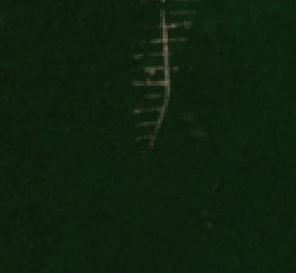 Sentinel-2 2023-10-21