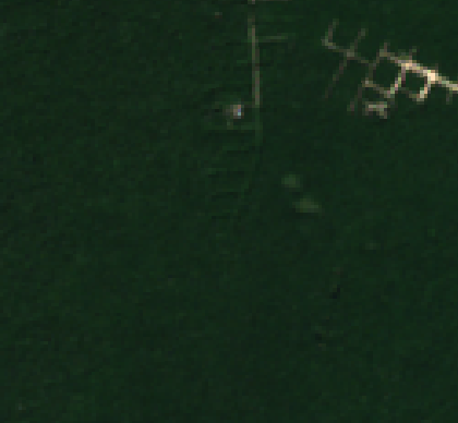 Sentinel-2 2026-01-30