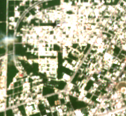 Sentinel-2 2025-07-19
