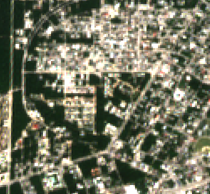 Sentinel-2 2026-01-30