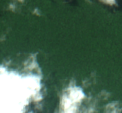 Sentinel-2 2023-06-08