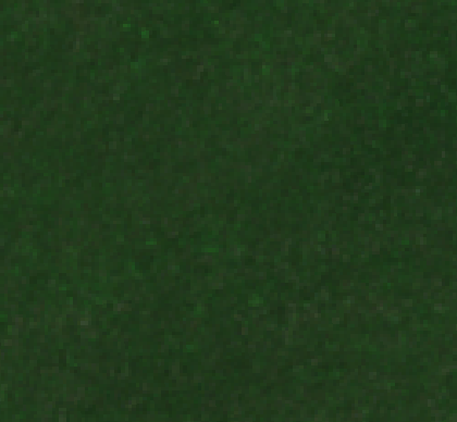 Sentinel-2 2025-04-10