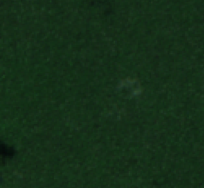 Sentinel-2 2025-10-12
