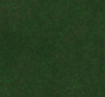 Sentinel-2 2025-04-10