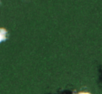 Sentinel-2 2026-04-30