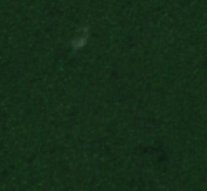 Sentinel-2 2025-10-12
