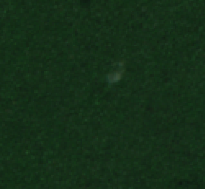 Sentinel-2 2025-10-12